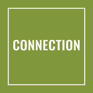 connection box-01